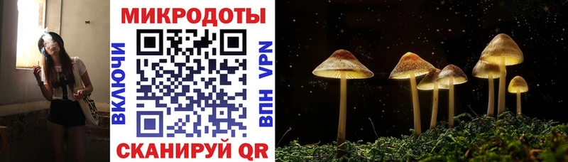 купить наркотик  Белёв  Галлюциногенные грибы ЛСД 